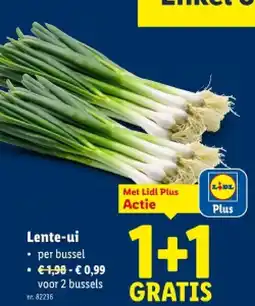 Lidl Lente-ui aanbieding
