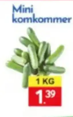 Tanger Markt Mini komkommer aanbieding