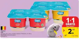 Carrefour Yoghurt inex aanbieding