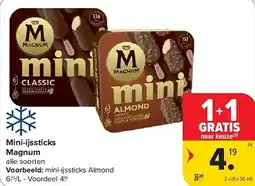 Carrefour Mini-ijssticks magnum aanbieding
