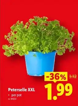 Lidl Peterselie XXL aanbieding