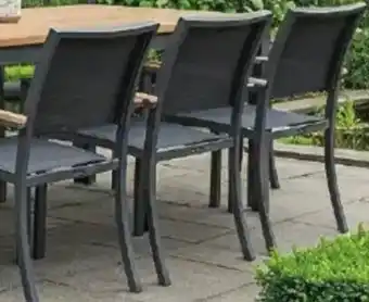Stoel pineta