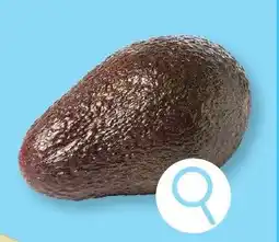 ALDI Avocado aanbieding