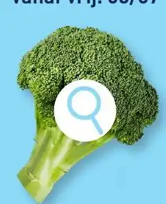 ALDI Broccoli aanbieding