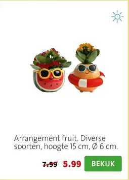 Intratuin Arrangement fruit aanbieding