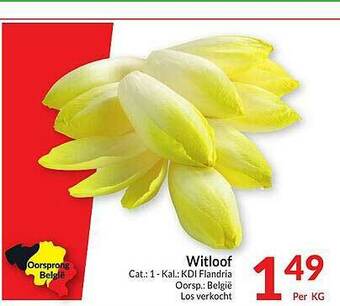 Intermarché Witloof aanbieding