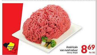 Américain Van Rund Natuur