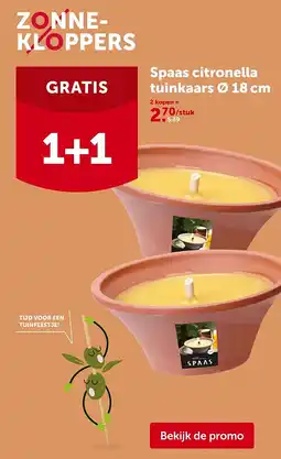 AVEVE Spaas citronella tuinkaars Ø 18 cm aanbieding