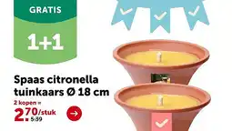 AVEVE Spaas citronella tuinkaars Ø 18 cm aanbieding