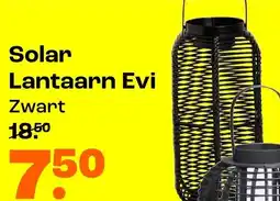 Kwantum Solar Lantaarn Evi aanbieding
