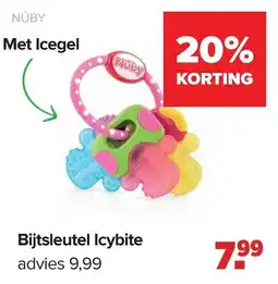 Baby-Dump Bijtsleutel Icybite aanbieding