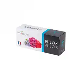 Krëfel Lingot Phlox aanbieding