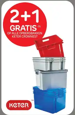 Brico Opbergbakken keter crownest aanbieding
