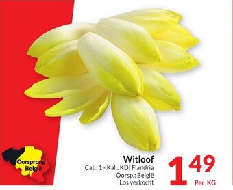 Intermarché Witloof aanbieding
