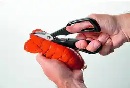 Krëfel Kreeftenschaar aanbieding