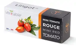 Krëfel Lingot Kersttomaten aanbieding