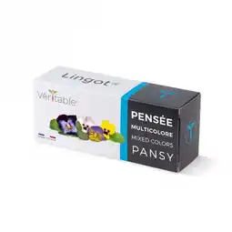 Krëfel Lingot Pensée Multicolore aanbieding