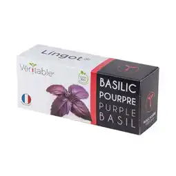 Krëfel Lingot Paarse Basilicum BIO aanbieding