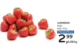 Alvo Aardbeien aanbieding