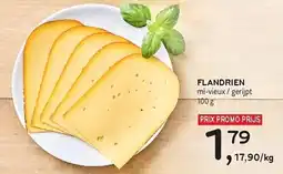 Alvo Flandrien aanbieding