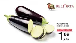 Alvo Aubergine aanbieding