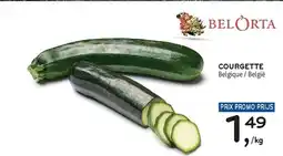 Alvo Courgette aanbieding