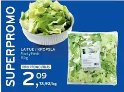 Alvo Laitue/kropsla aanbieding