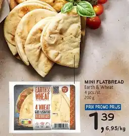 Alvo Earth & Wheat Mini Flatbread aanbieding