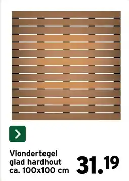 GAMMA Vlondertegel glad hardhout aanbieding