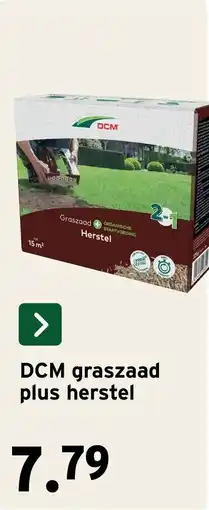 GAMMA DCM graszaad plus herstel aanbieding