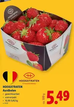 Lidl Hoogstraten aardbeien aanbieding