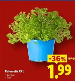 Lidl Peterselie xxl aanbieding