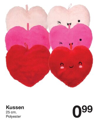 Zeeman Kussen aanbieding