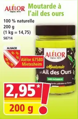Norma Moutarde à l'ail des ours aanbieding