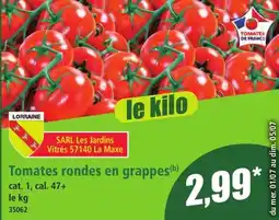 Norma Tomates rondes en grappes aanbieding