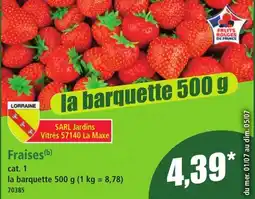 Norma Fraises aanbieding