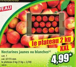 Norma Nectarines jaunes ou blanches aanbieding