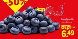 Lidl Blauwe bessen XXL aanbieding