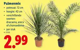 Lidl Palenmix aanbieding