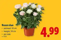 Lidl Rozen duo aanbieding