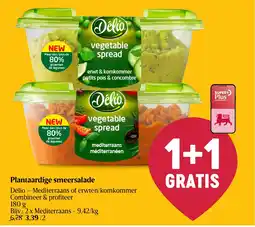 Delhaize Plantaardige smeersalade aanbieding