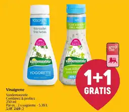 AD Delhaize Vinaigrette aanbieding