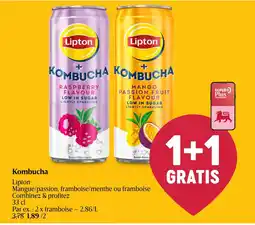 AD Delhaize Kombucha aanbieding