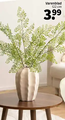 Wibra Varenblad aanbieding