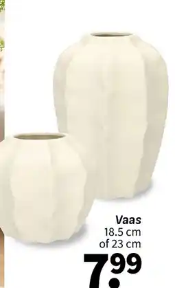Wibra Vaas aanbieding
