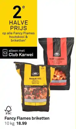 Karwei Fancy Flames Brikketen aanbieding