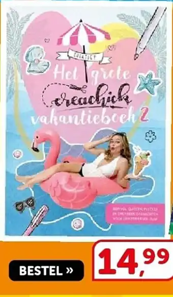 Het grote CreaChick vakantieboek 2