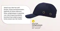 Brico DEXTER Veiligheidspet aanbieding