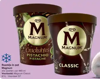Roomijs in pot Magnum