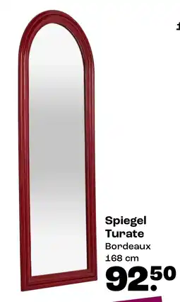Kwantum Spiegels Turate aanbieding
